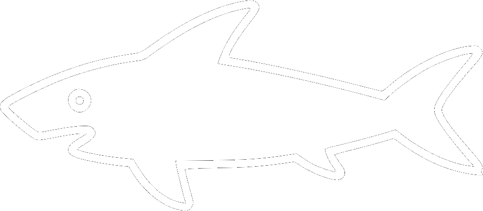Icon Grand Requin Design Minimaliste Avec Bords Blancs Et Fond Transparent